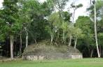 Antiga construção tomada pelas árvores nas ruínas mayas de Caracol, em Belize, quase na fronteira com a Guatemala